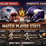 New England Patriots vs Minnesota Vikings Match Player Stats