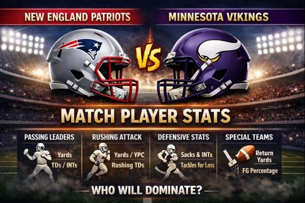 New England Patriots vs Minnesota Vikings Match Player Stats