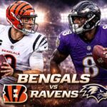 Bengals vs Baltimore Ravens Match Player Stats