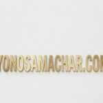 yonosamachar com